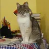 Отзыв от Алена Кулакова